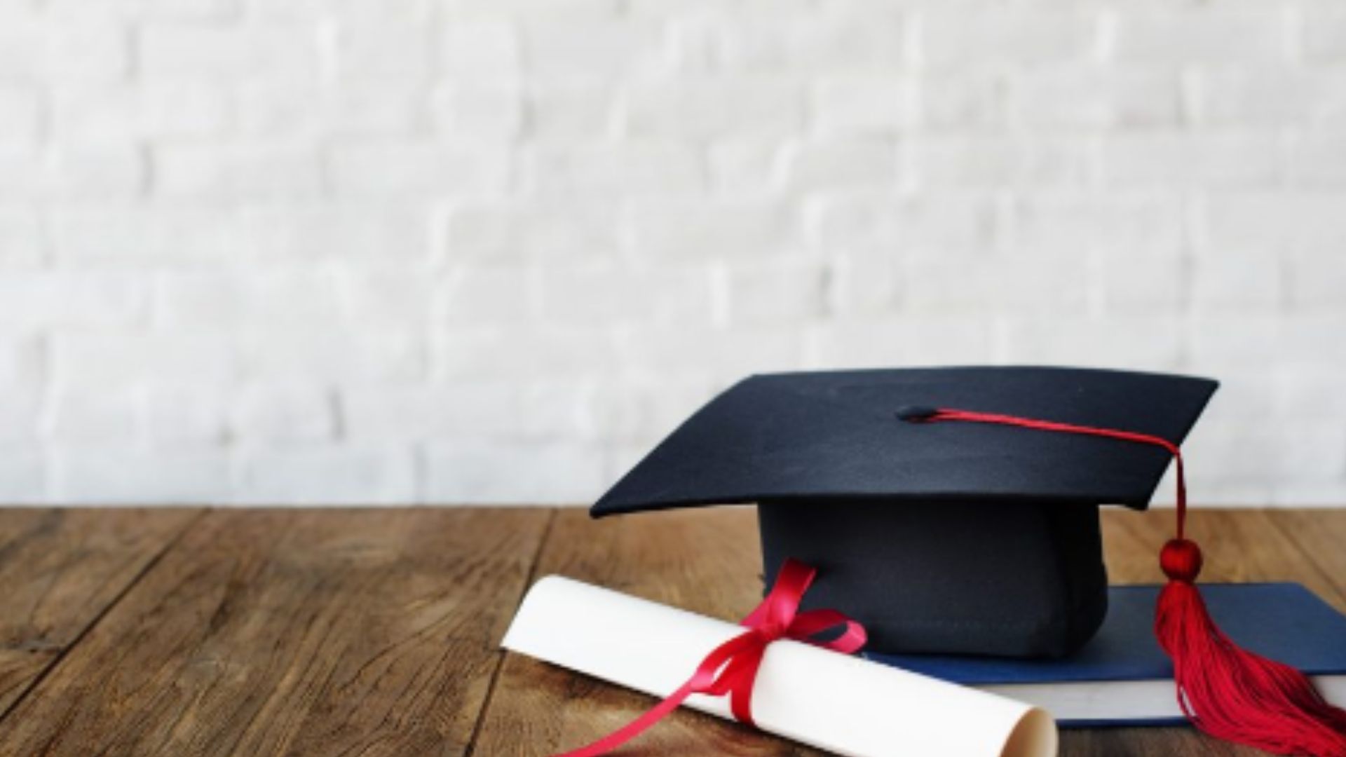 Leia mais sobre o artigo Diferença entre College e University: quais são elas?