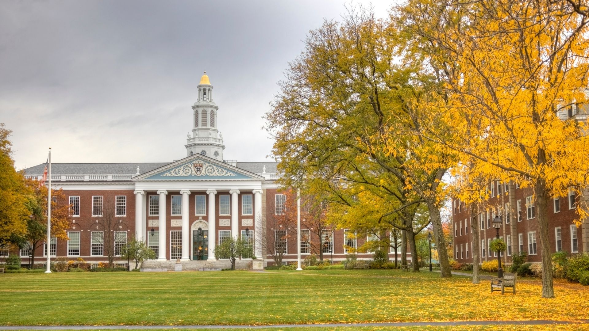 Conheça Harvard: onde fica, sua história e curiosidades