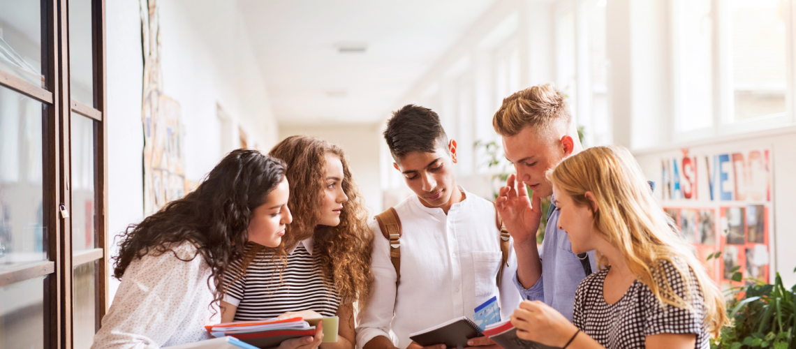 sistema educacional - blog